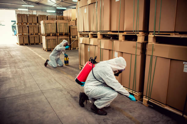 Professional Pest Control in Hamilton, IL