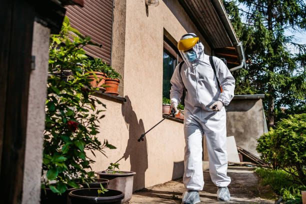 Best Emergency Pest Control  in Hamton, IL