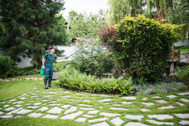 Best Affordable Pest Control Services  in Hamton, IL