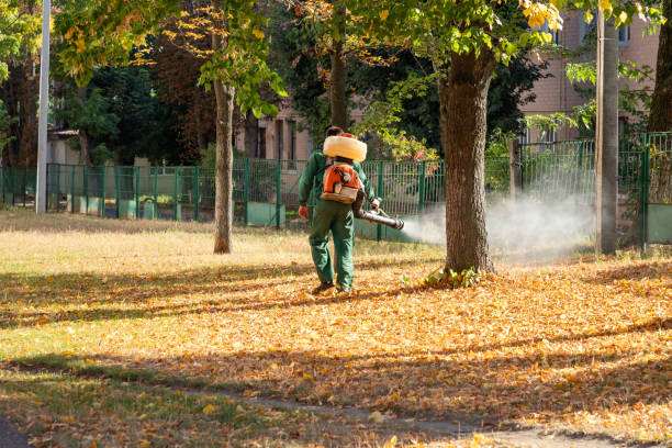 Best Rodent Control Near Me  in Hamton, IL