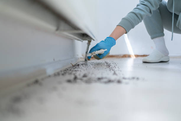 Best Wildlife Control Services  in Hamton, IL