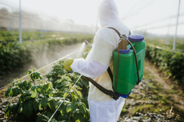 Best Pest Control Near Me in Hamilton, IL